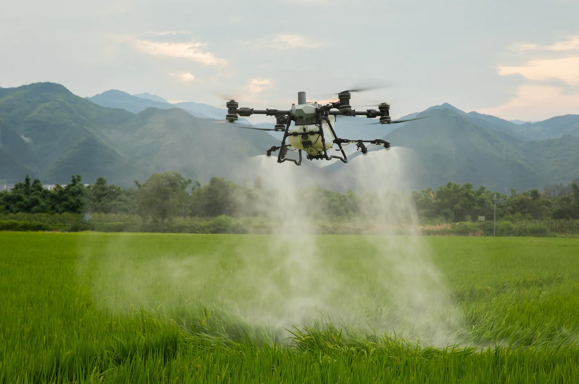 Aplicación agrícola con dron